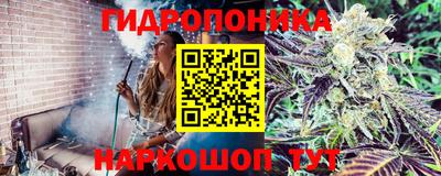 mdpv Первоуральск